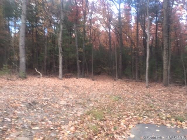 14Pine Hill Rd, Granby, CT 06035