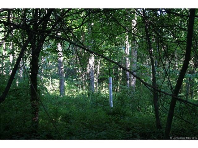 390Bruning Rd, New Hartford, CT 06057
