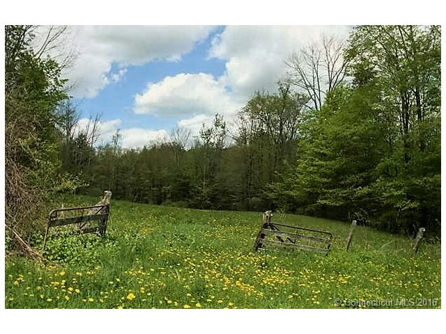 649 Litchfield Rd, Norfolk, CT 06058