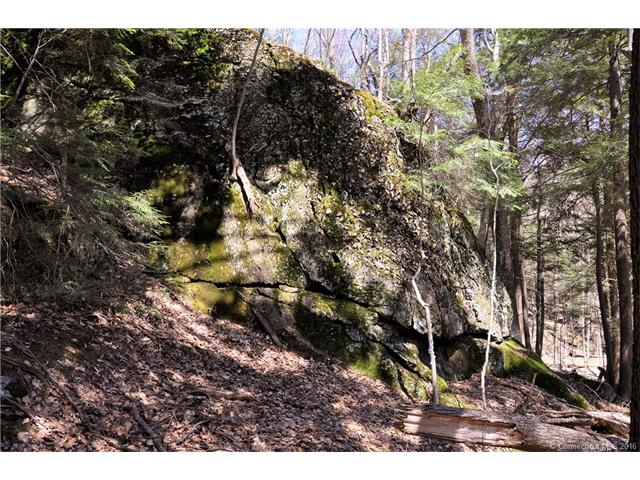 649 Litchfield Rd, Norfolk, CT 06058