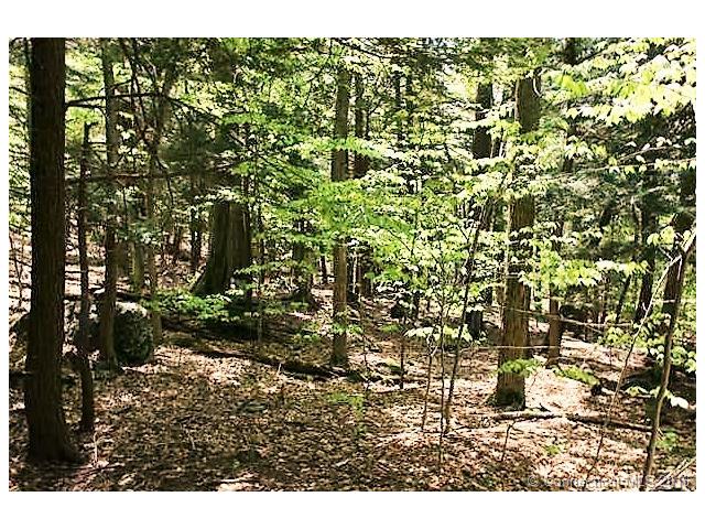 649 Litchfield Rd, Norfolk, CT 06058