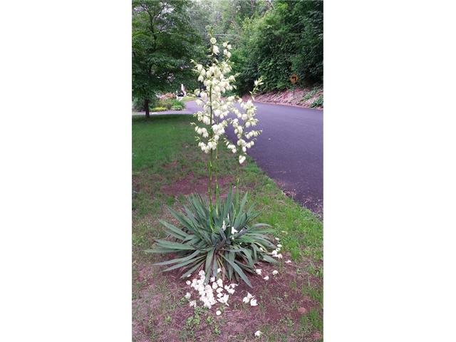 9Worcester Rd, Vernon, CT 06066