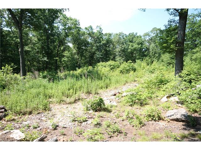 360 Dayton Rd, Glastonbury, CT 06073