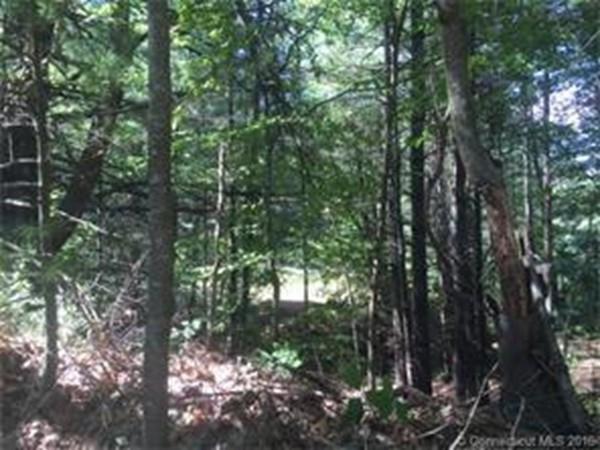 16 Petz, Stafford, CT 06076