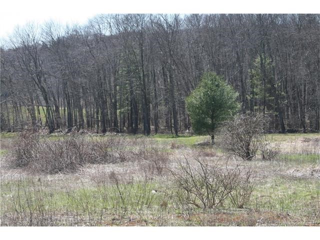 36Sage Meadow Dr, Tolland, CT 06084