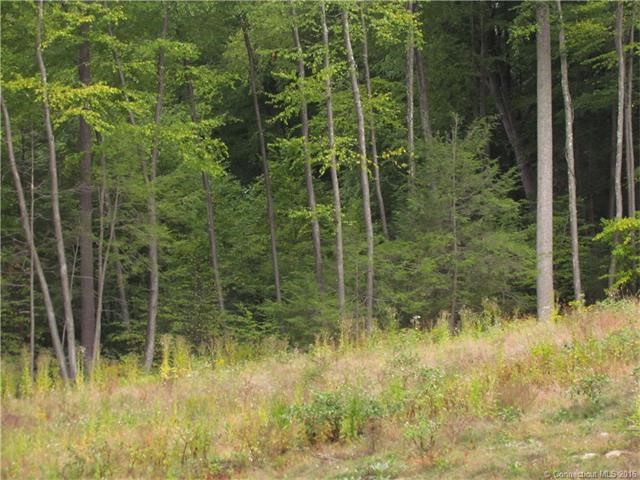 Lot 2Shingle Mill Rd, Simsbury, CT 06092