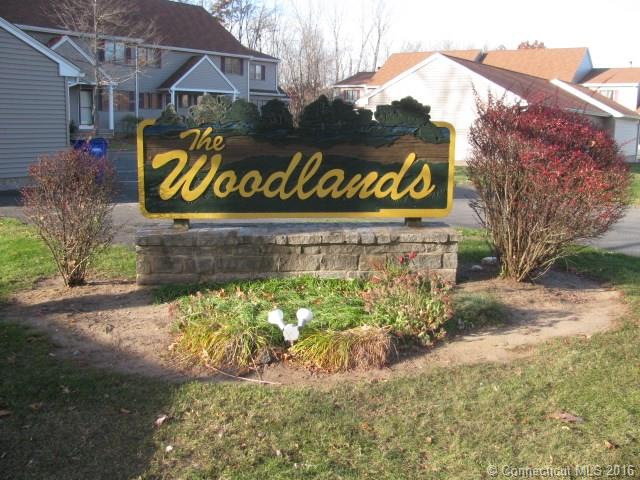 46 Mallard Ct, Windsor Locks, CT 06096