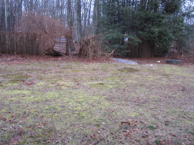 2641 Main StCoventry, CT, 06238Tolland County