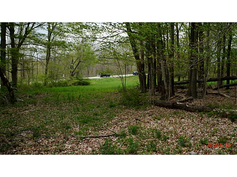 481 MASHAMOQUET RD, Pomfret, CT 06259