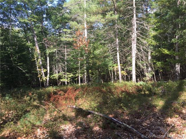 0 Quaddick Town Farm Rd, Thompson, CT 06277