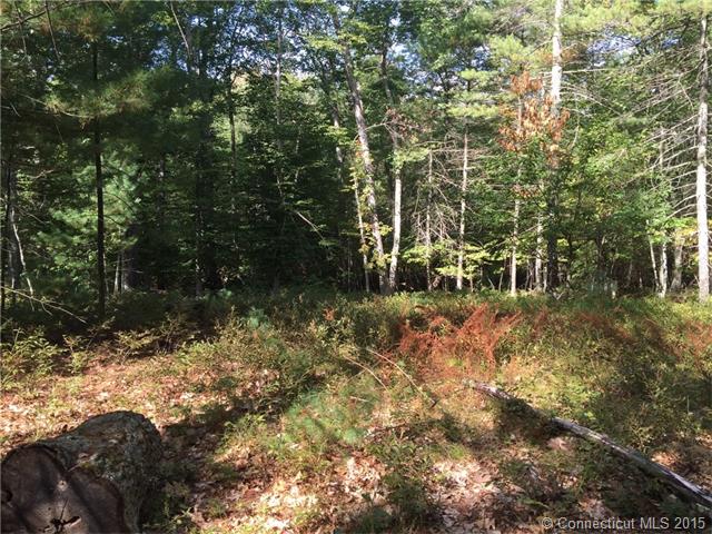 0 Quaddick Town Farm Rd, Thompson, CT 06277
