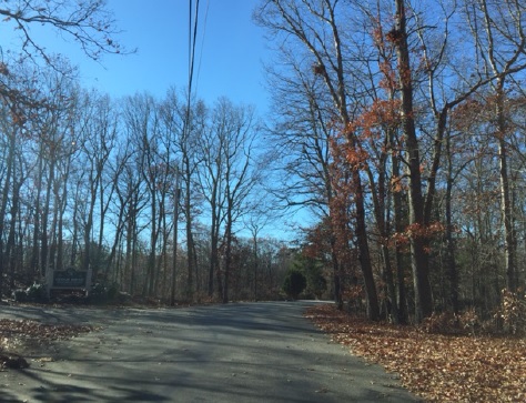 42 Burt Latham Rd, Willington, CT 06279