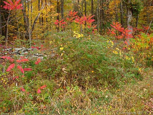 581English Neighborhood Rd, Woodstock, CT 06281