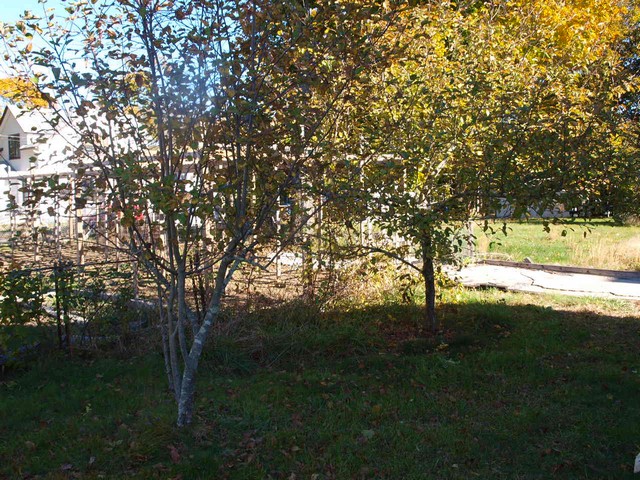 3 Nelson PlNorwich, CT, 06360New London County