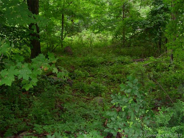 149Mile Creek Rd, Old Lyme, CT 06371