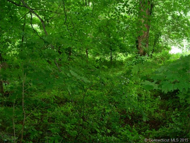 149Mile Creek Rd, Old Lyme, CT 06371