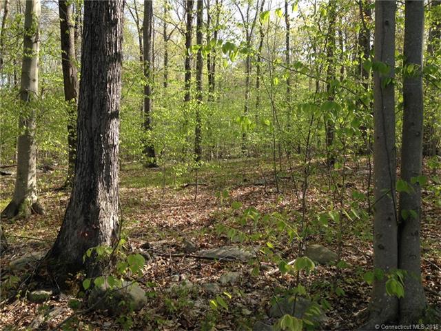 20Beckwith Rd, Killingworth, CT 06419