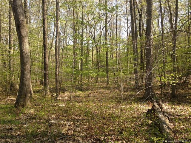 28Beckwith Rd, Killingworth, CT 06419