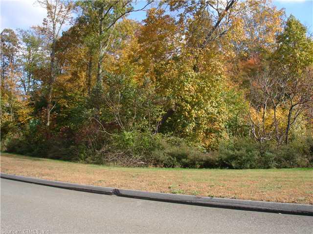 Lot 59Beaver Dam Rd, Killingworth, CT 06419