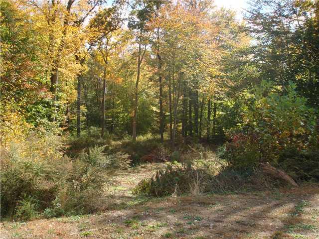 Lot 59Beaver Dam Rd, Killingworth, CT 06419