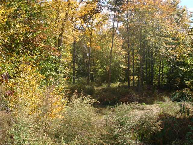 Lot 59Beaver Dam Rd, Killingworth, CT 06419