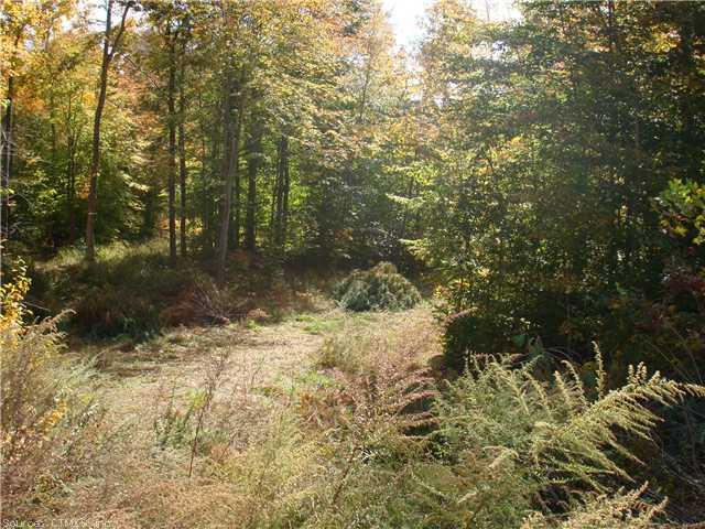 Lot 59Beaver Dam Rd, Killingworth, CT 06419