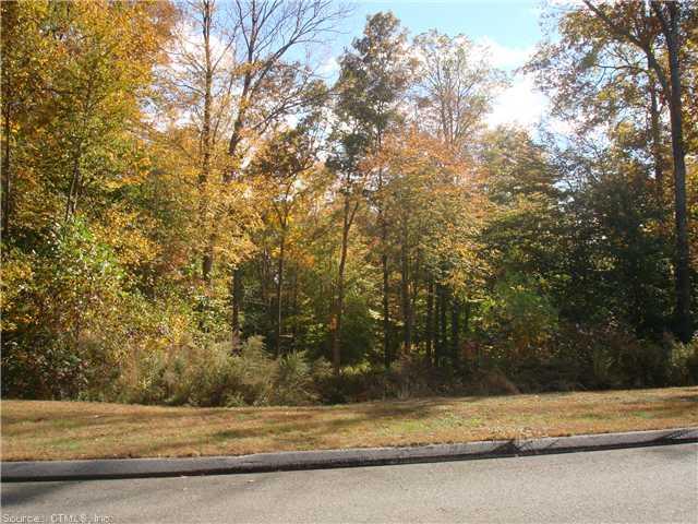 Lot 59Beaver Dam Rd, Killingworth, CT 06419