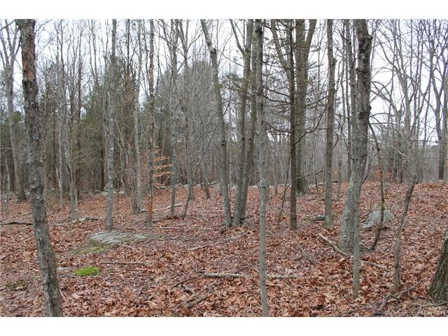 6Pine Orchard/302 Rt. 148, Killingworth, CT 06419