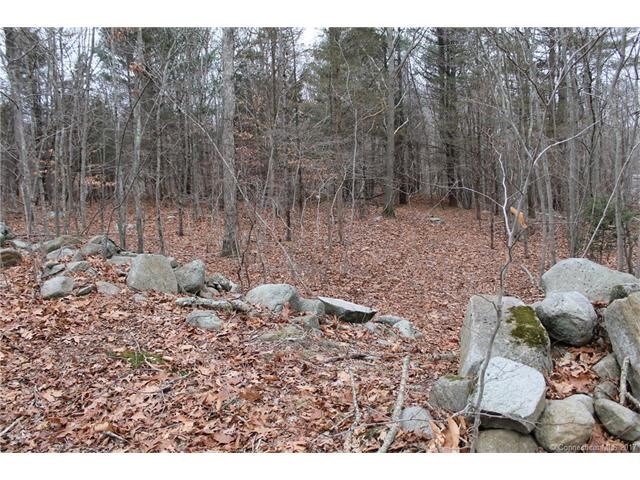 6Pine Orchard/302 Rt. 148, Killingworth, CT 06419