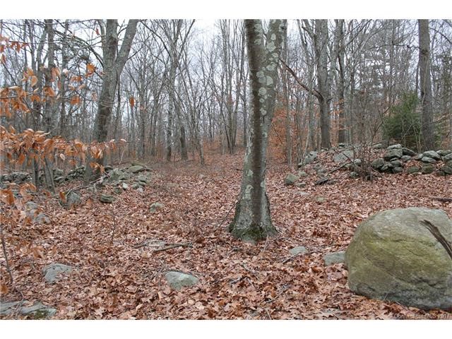 6Pine Orchard/302 Rt. 148, Killingworth, CT 06419