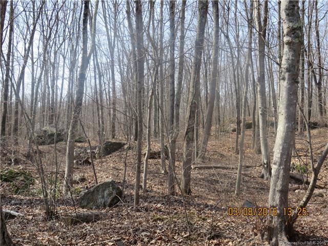 607West Rd, Salem, CT 06420