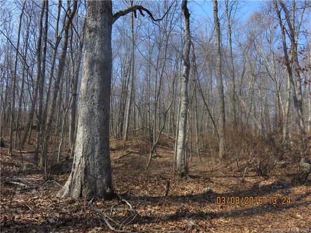 607-615West Rd, Salem, CT 06420