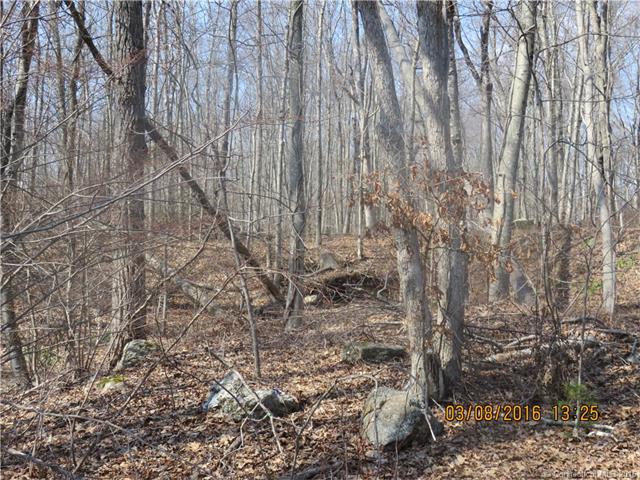 607-615West Rd, Salem, CT 06420