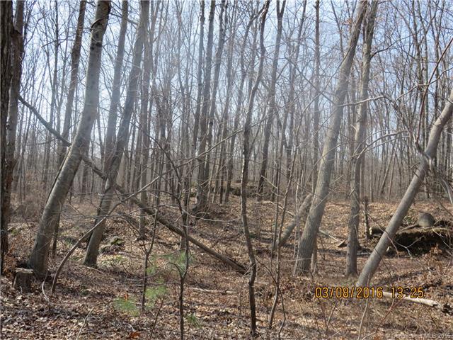 607-615West Rd, Salem, CT 06420