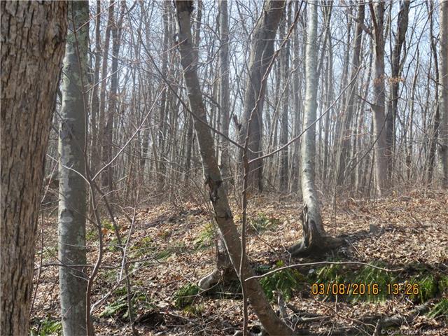 607-615West Rd, Salem, CT 06420