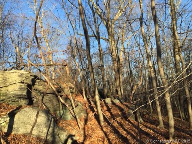 Map 31/Lot 78Tater Hill Rd, E Haddam, CT 06423