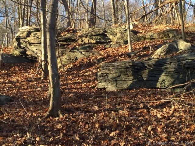 Map 31/Lot 78Tater Hill Rd, E Haddam, CT 06423