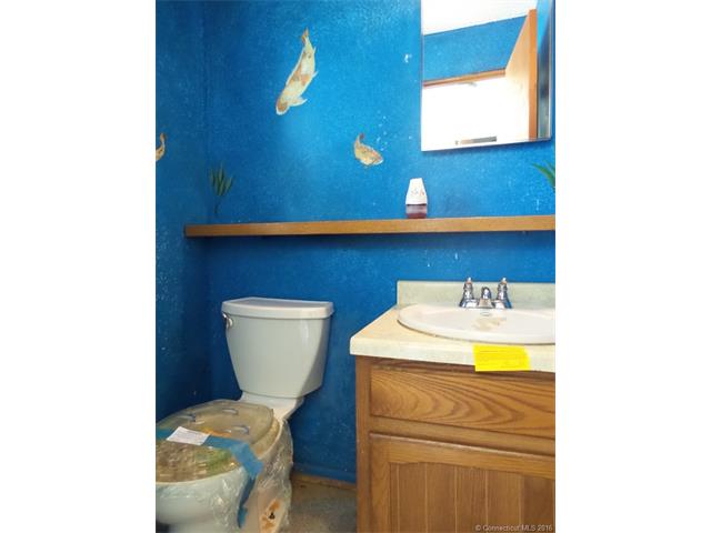 110 Hog Hill Rd, E Hampton, CT 06424