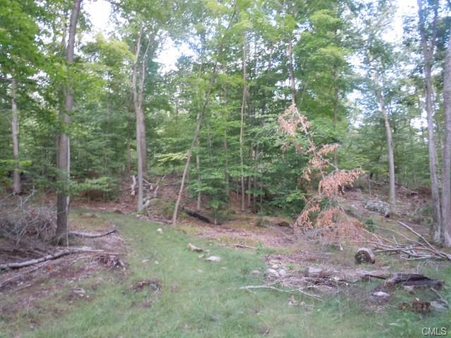 148 Hanover-L-10 Thornberry Estates, Newtown, CT 06470