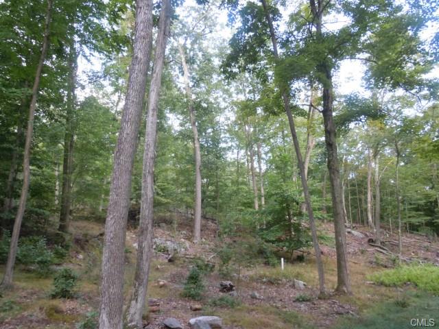 148 Hanover-L-10 Thornberry Estates, Newtown, CT 06470