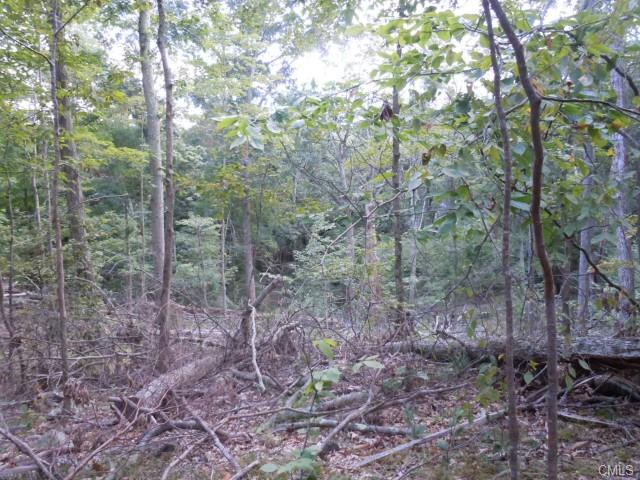148 Hanover-L-10 Thornberry Estates, Newtown, CT 06470