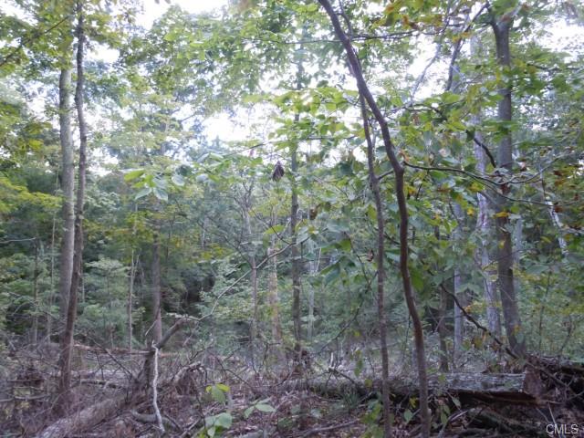 148 Hanover-L-10 Thornberry Estates, Newtown, CT 06470