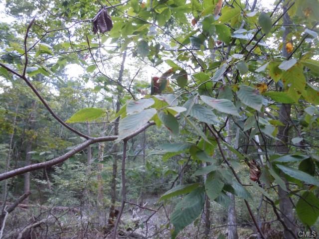 148 Hanover-L-10 Thornberry Estates, Newtown, CT 06470