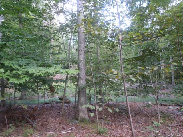 148 Hanover-L-10 Thornberry Estates, Newtown, CT 06470