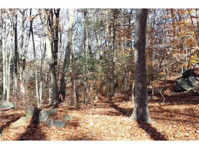 65 Butterfield Road, Newtown, CT 06470