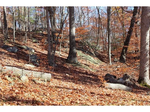 65 Butterfield Road, Newtown, CT 06470