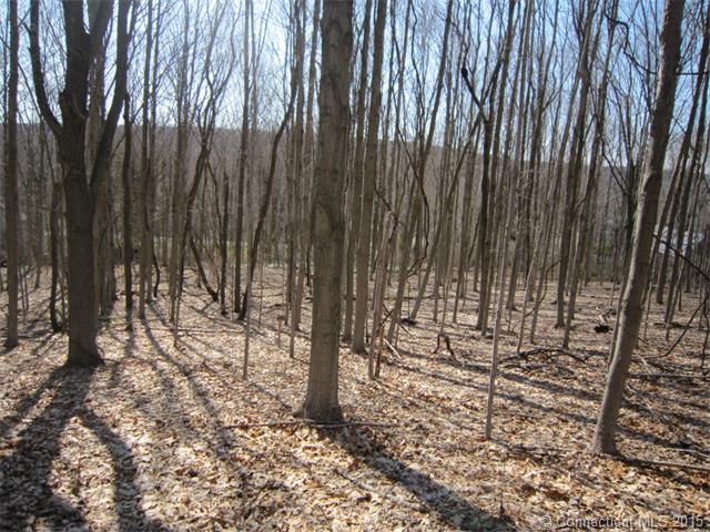31Old Post Rd, N Branford, CT 06472