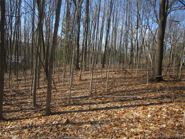 31Old Post Rd, N Branford, CT 06472