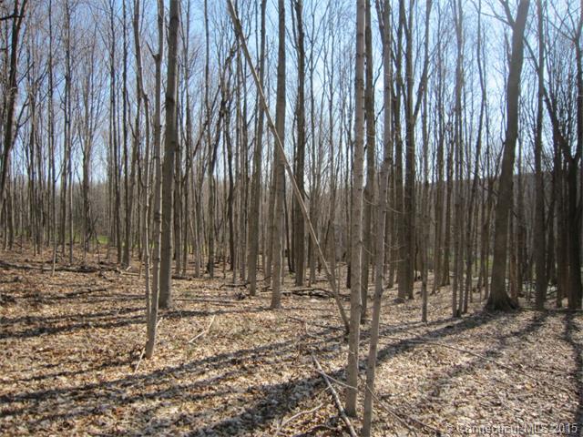 31Old Post Rd, N Branford, CT 06472
