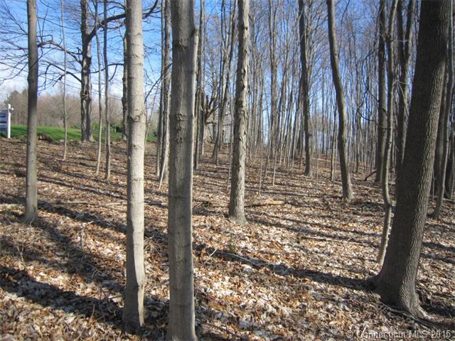 31Old Post Rd, N Branford, CT 06472
